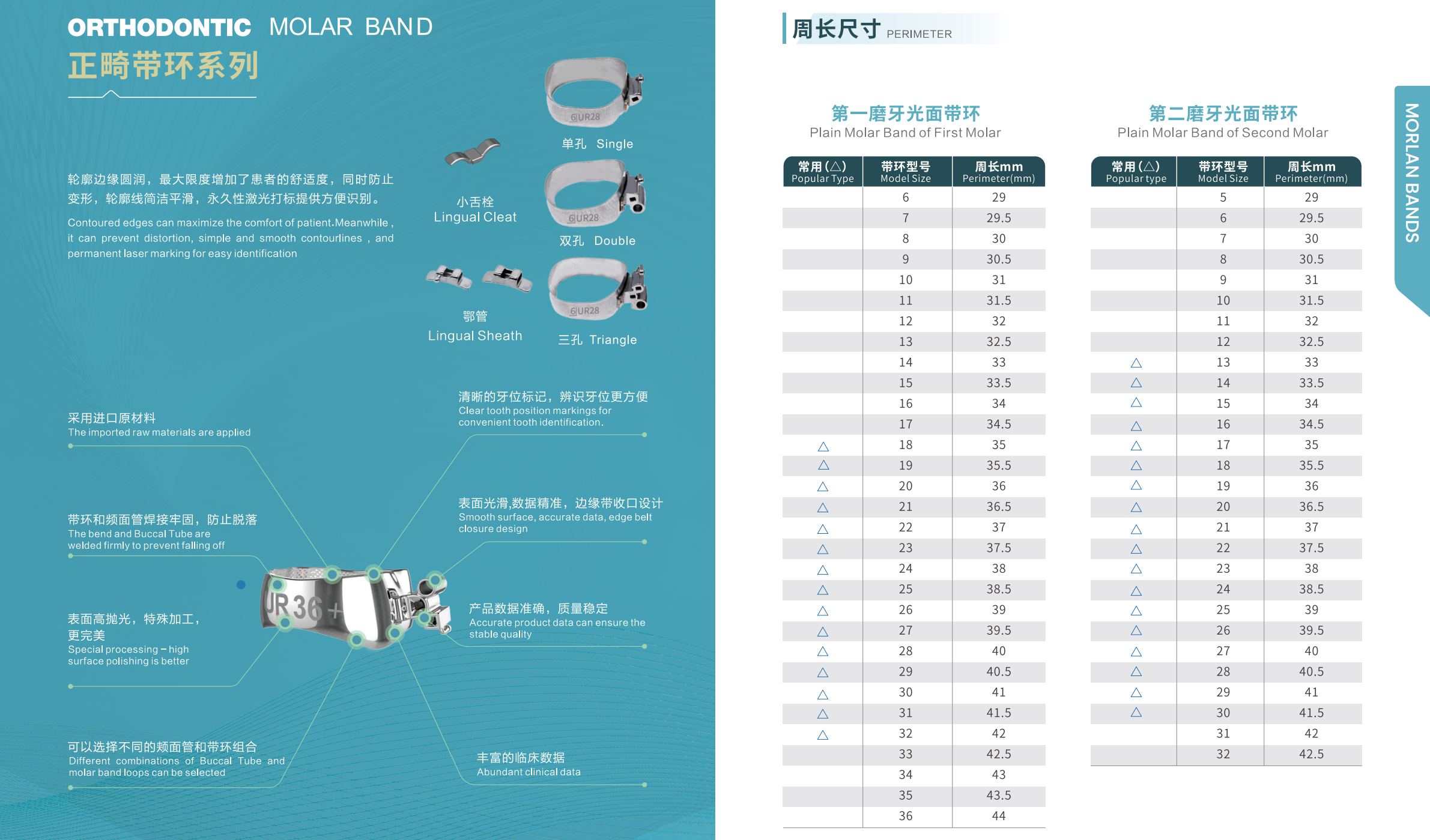ORTHODONTIC MOLAR BAND